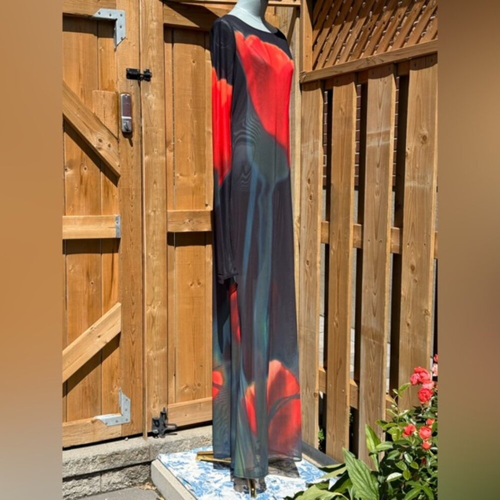 🆕 RAT & BOA 🧿 NWOT Juniper Sheer Long Sleeve Dress, Dark Red Tulip, Sz L - Picture 9 of 15